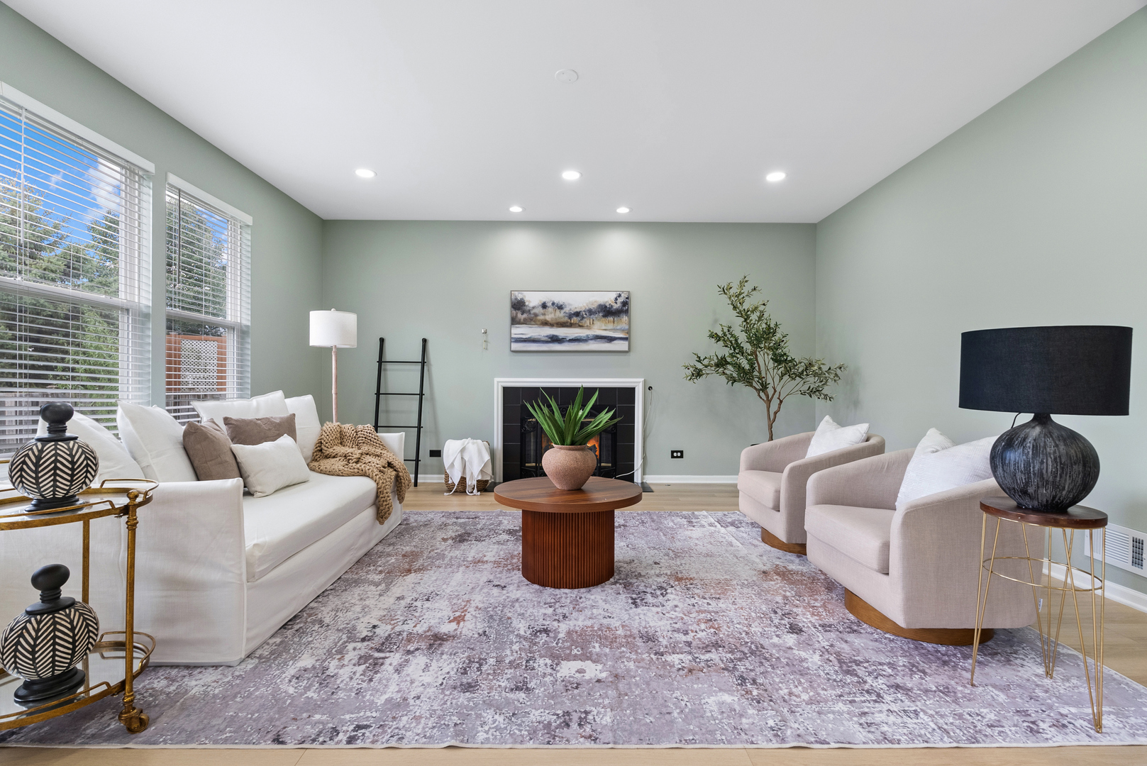 2197 Wilson Creek Circle Aurora IL 60503