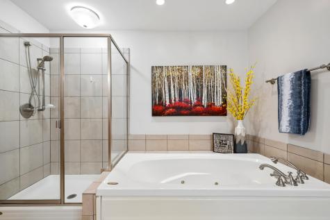 606 Arlington Lane South Elgin IL 60177