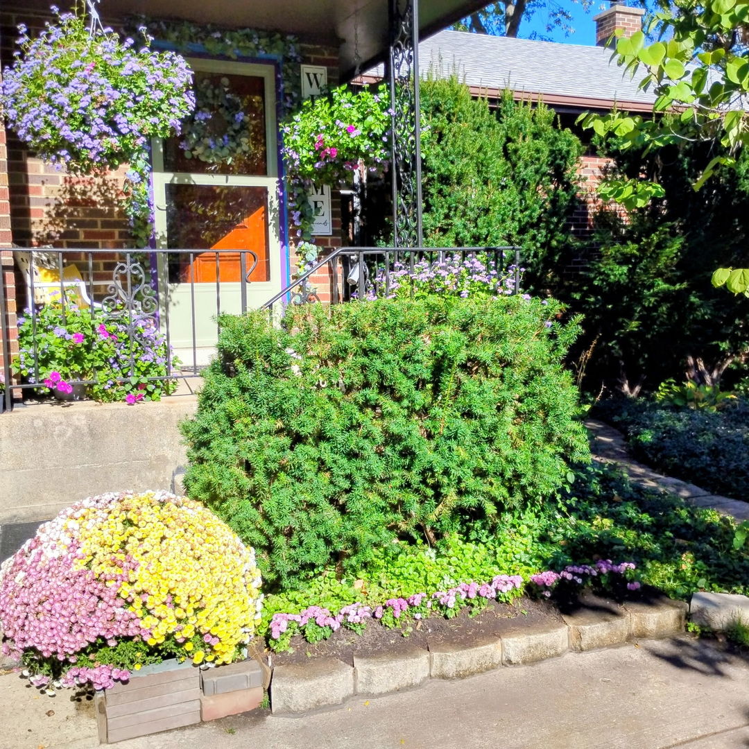 308 Sheldon Avenue Downers Grove IL 60515