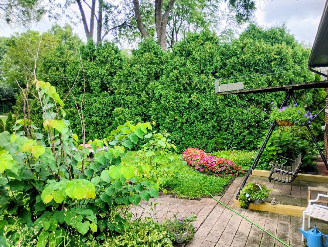 308 Sheldon Avenue Downers Grove IL 60515