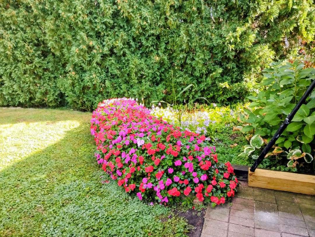 308 Sheldon Avenue Downers Grove IL 60515