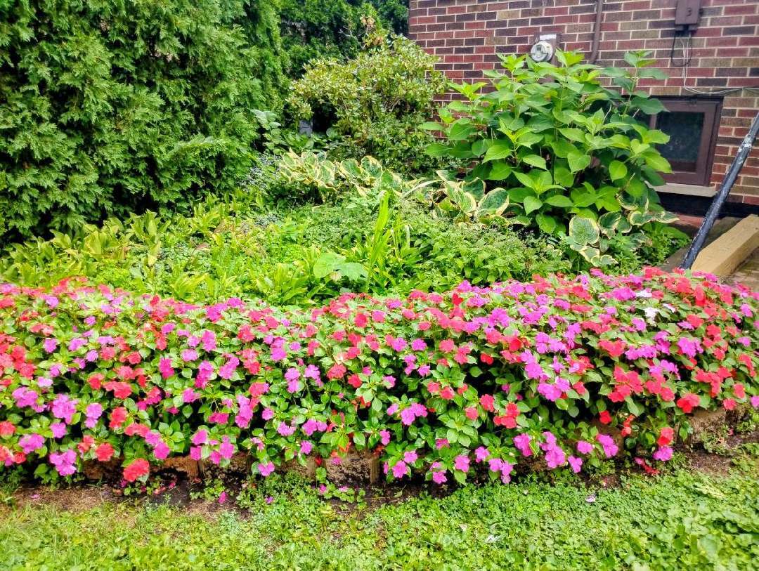 308 Sheldon Avenue Downers Grove IL 60515