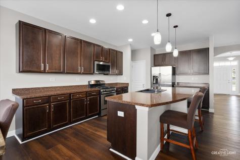 1133 Daytona Way Pingree Grove IL 60140