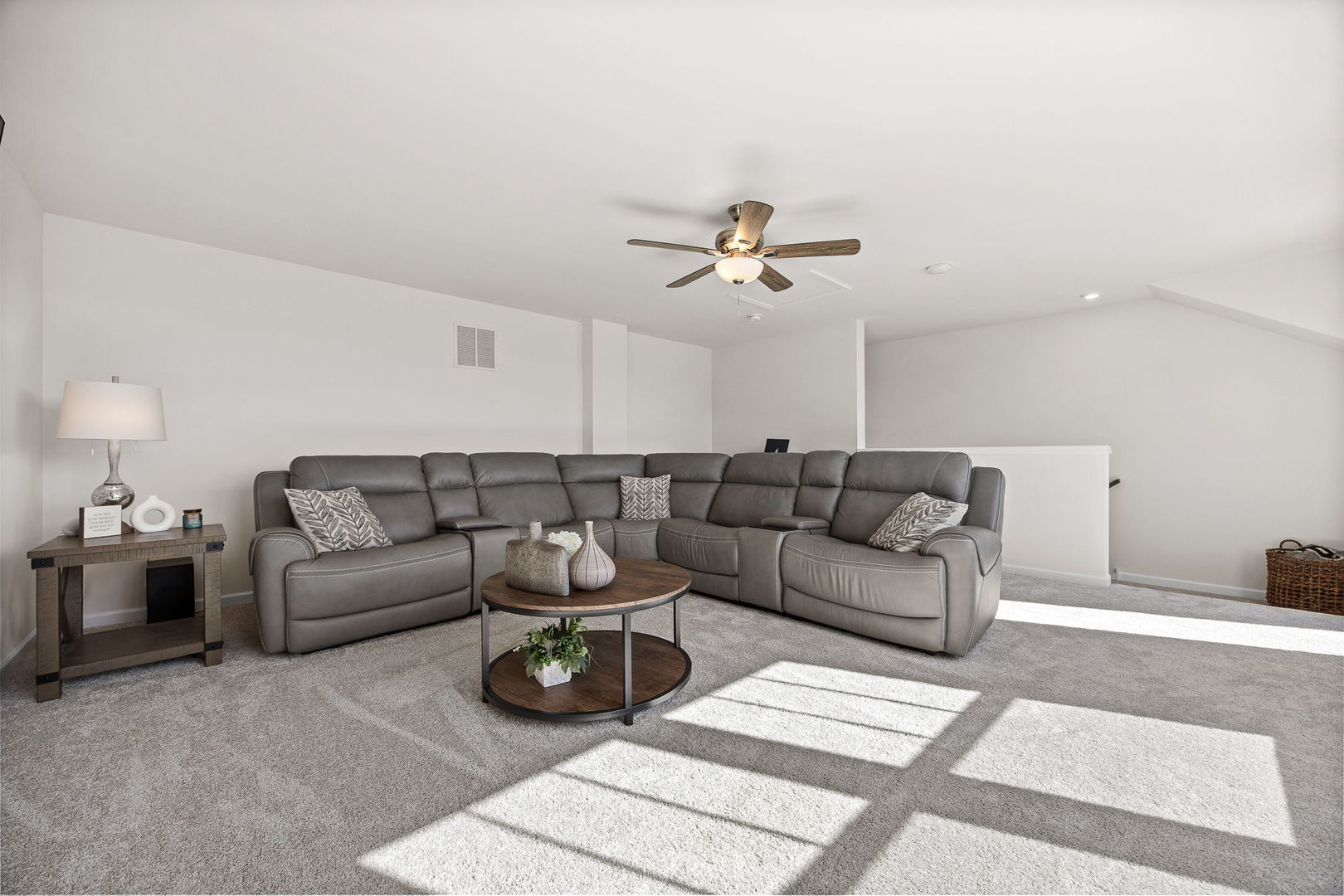 24356 West Alexis Lane Plainfield IL 60585