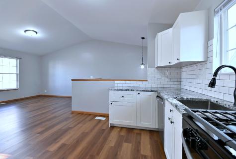 19 East Pineview Drive Round Lake Park IL 60073