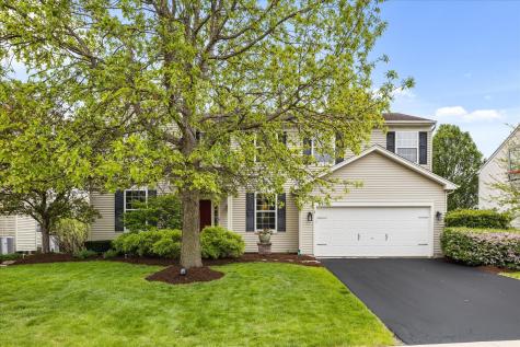 2315 Pagosa Springs Drive Aurora IL 60503