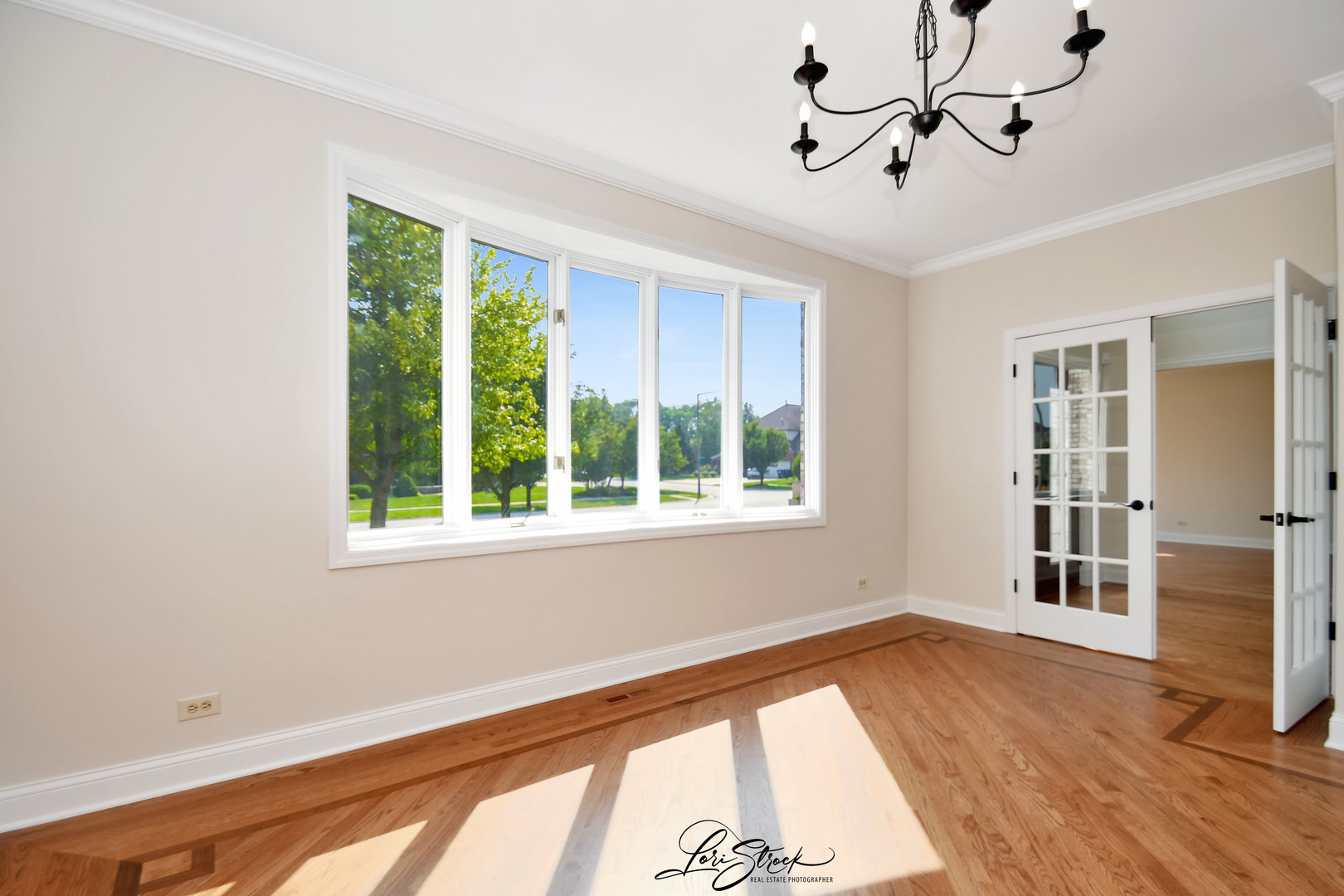 12118 Sarkis Drive Mokena IL 60448