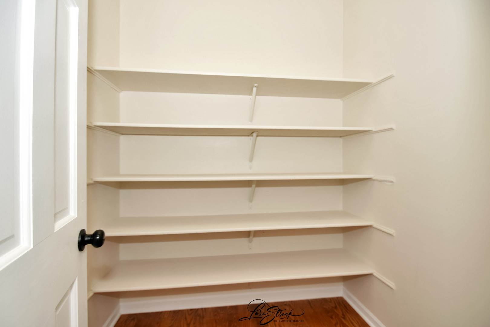 12118 Sarkis Drive Mokena IL 60448