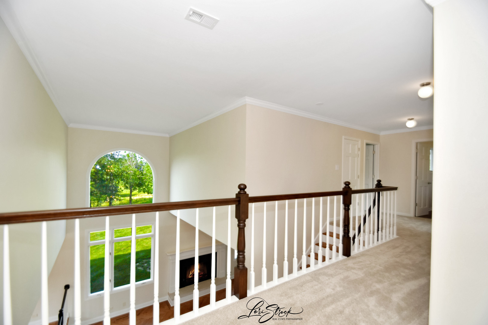 12118 Sarkis Drive Mokena IL 60448