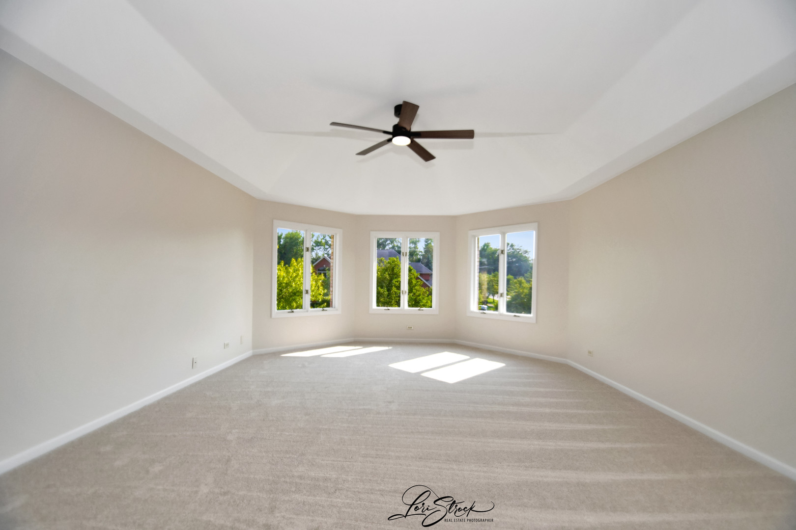 12118 Sarkis Drive Mokena IL 60448