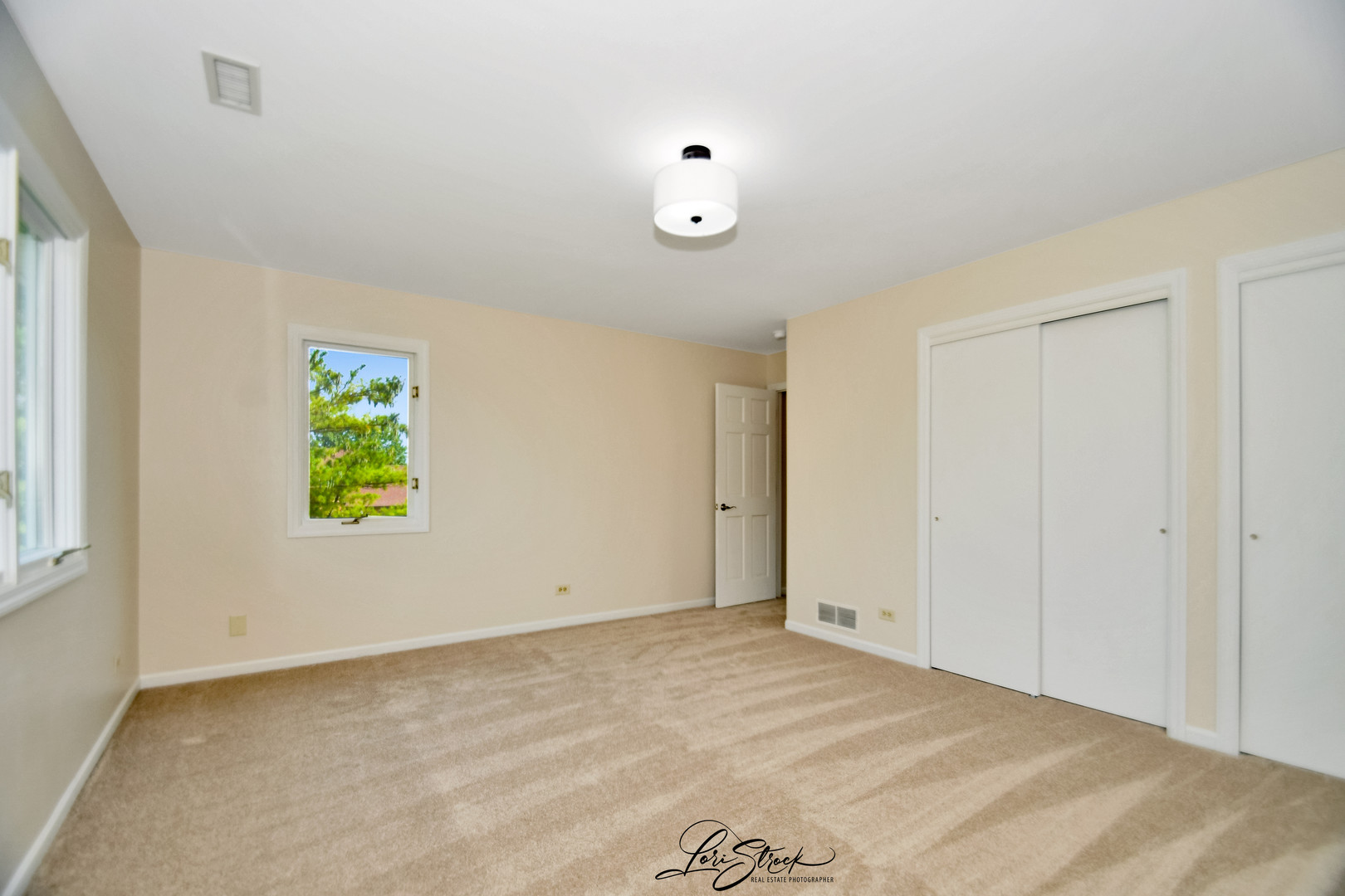 12118 Sarkis Drive Mokena IL 60448