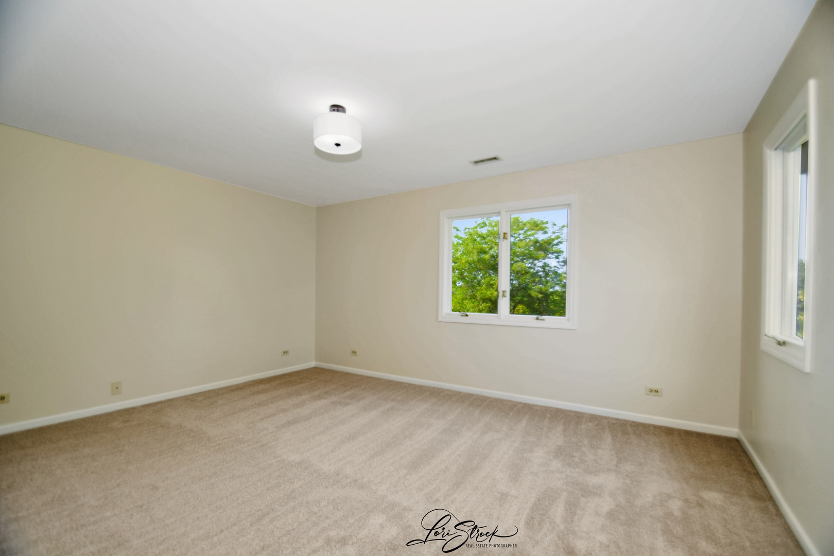 12118 Sarkis Drive Mokena IL 60448