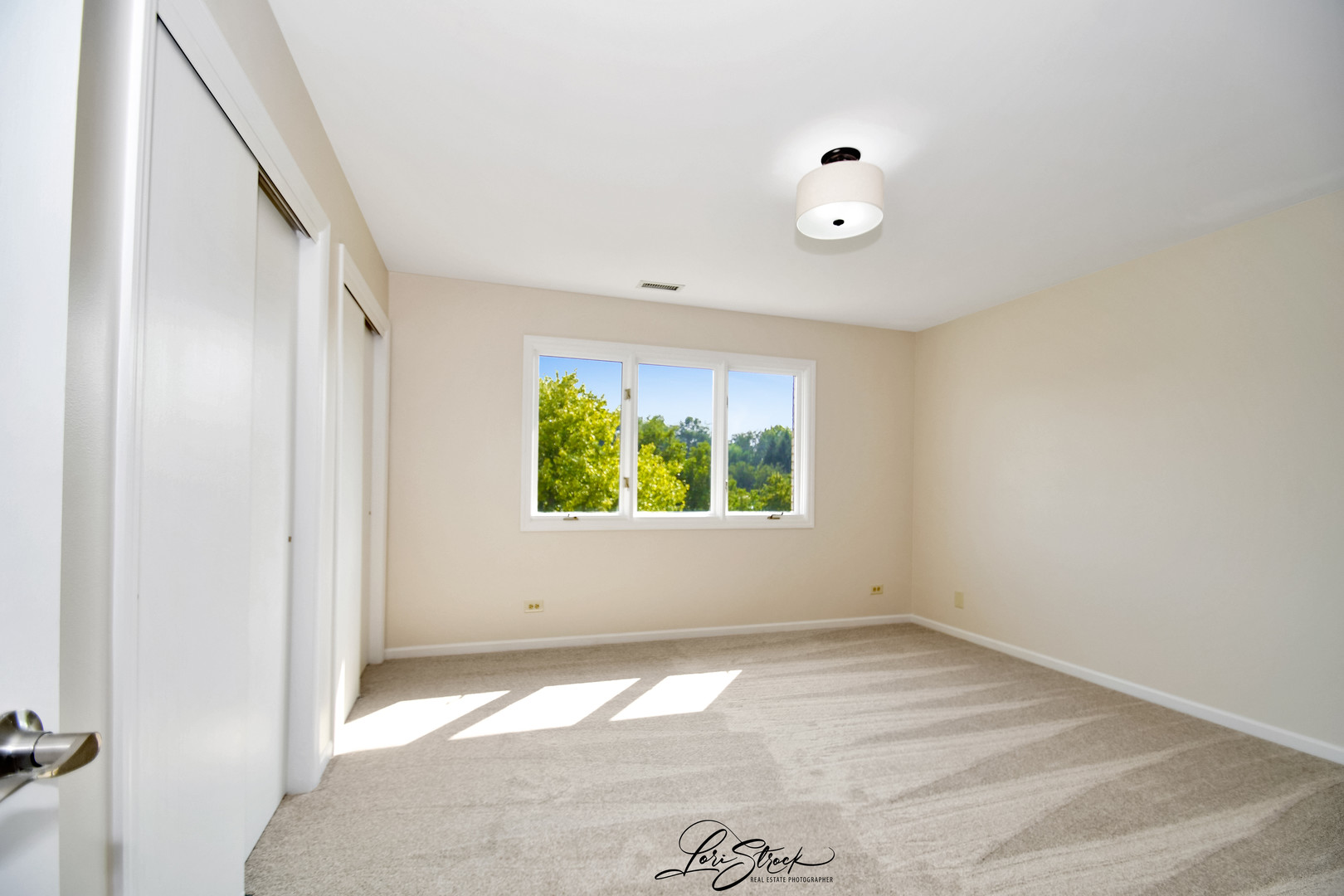 12118 Sarkis Drive Mokena IL 60448