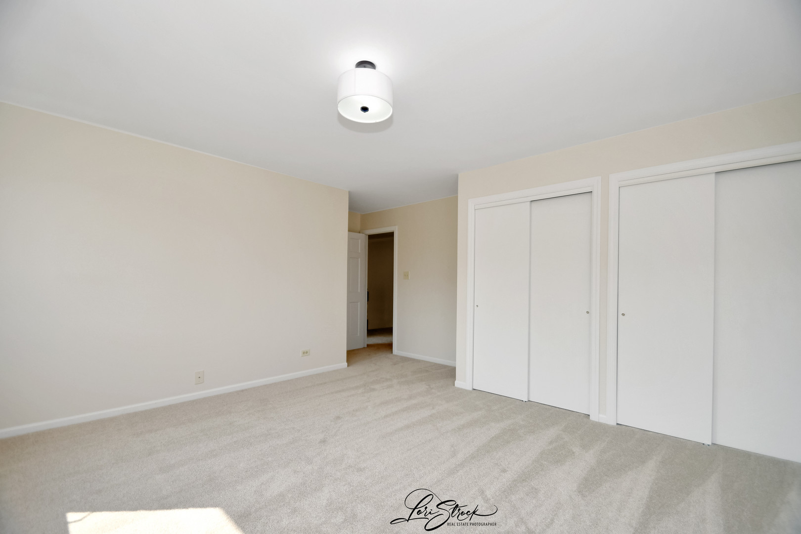 12118 Sarkis Drive Mokena IL 60448