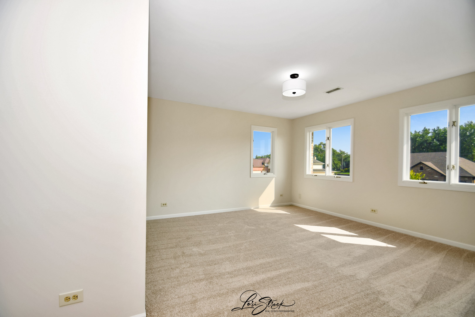 12118 Sarkis Drive Mokena IL 60448