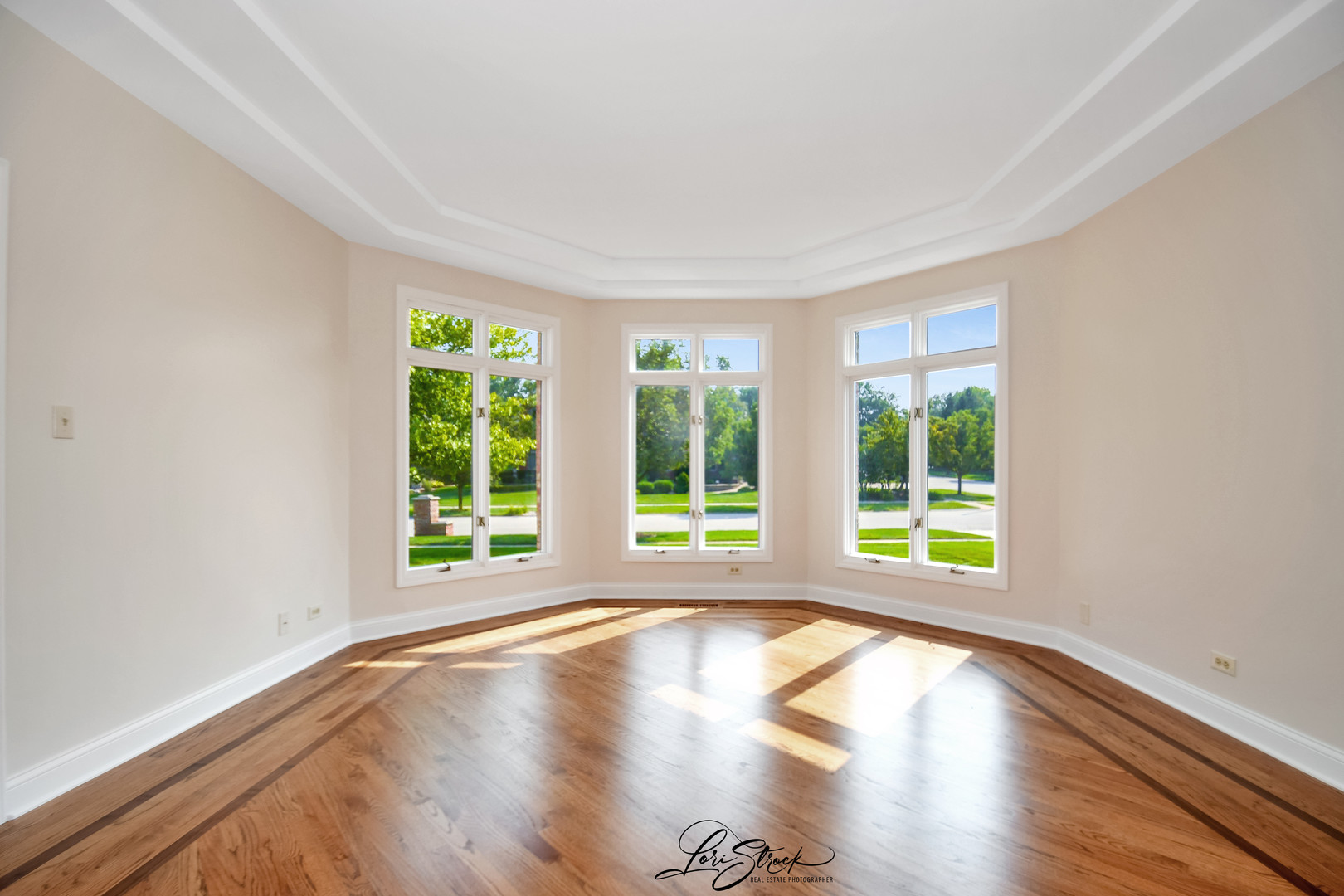 12118 Sarkis Drive Mokena IL 60448