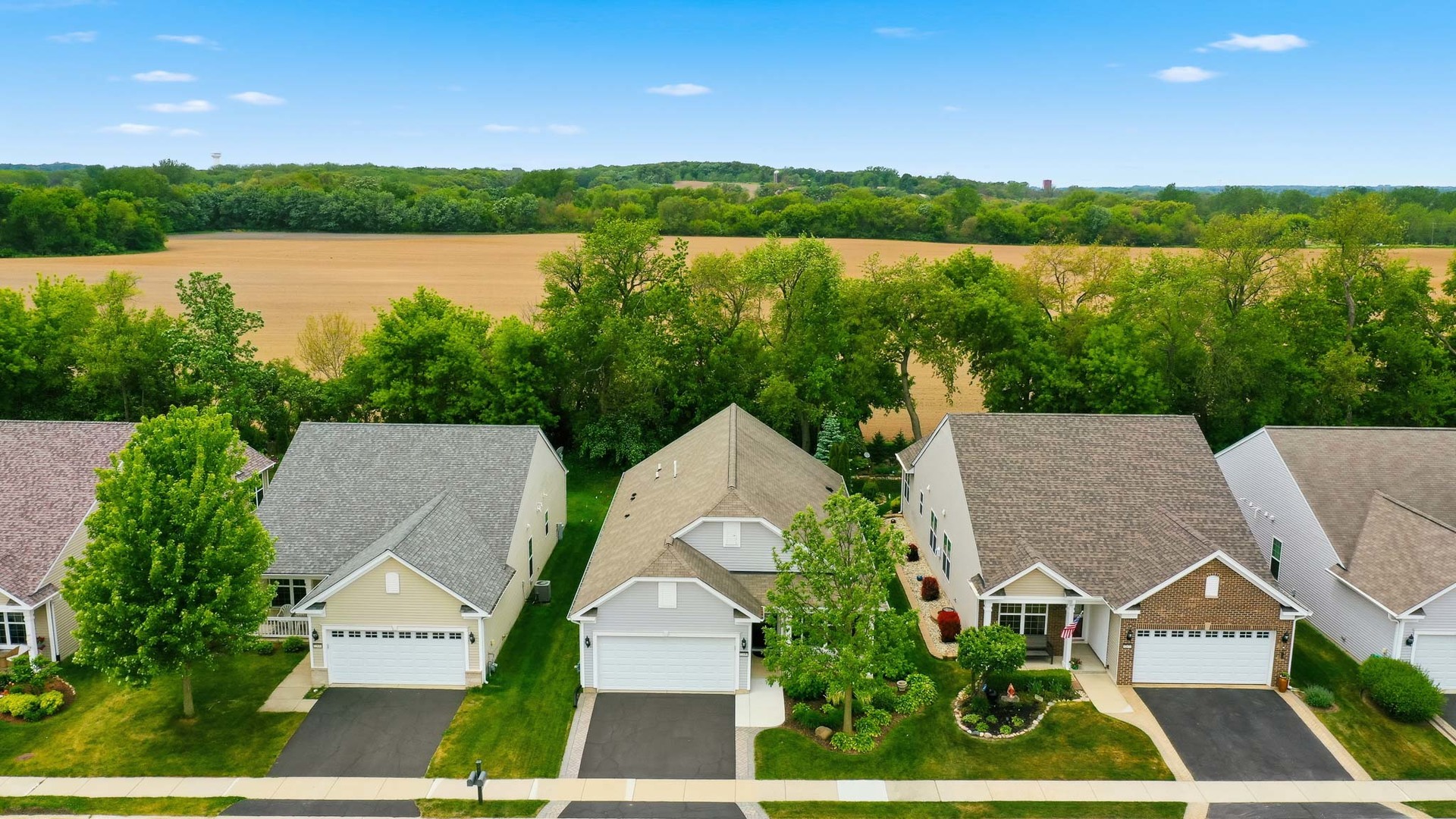 12689 Meritage Court Huntley IL 60142