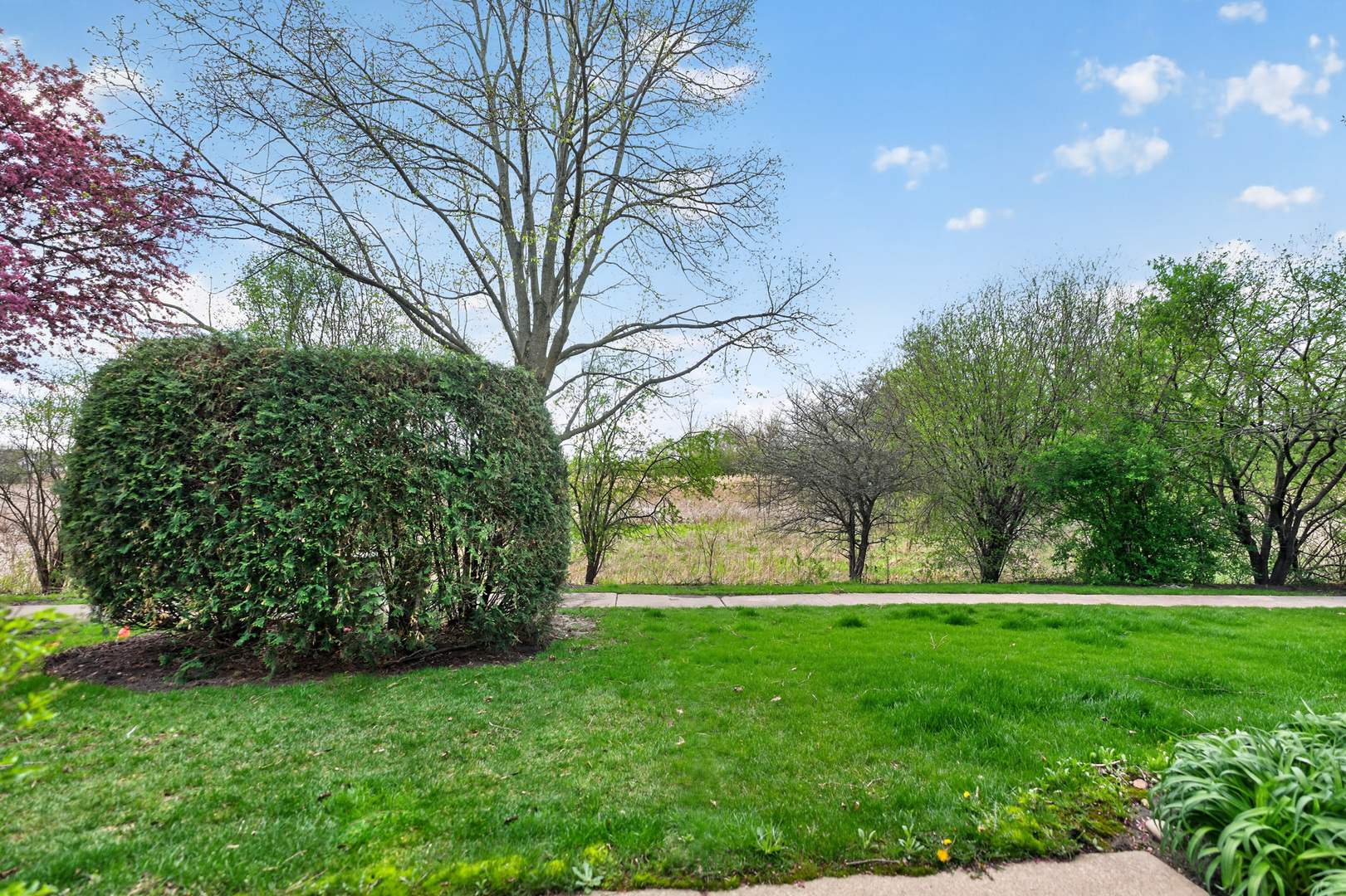 1760 Nature Court Schaumburg IL 60193