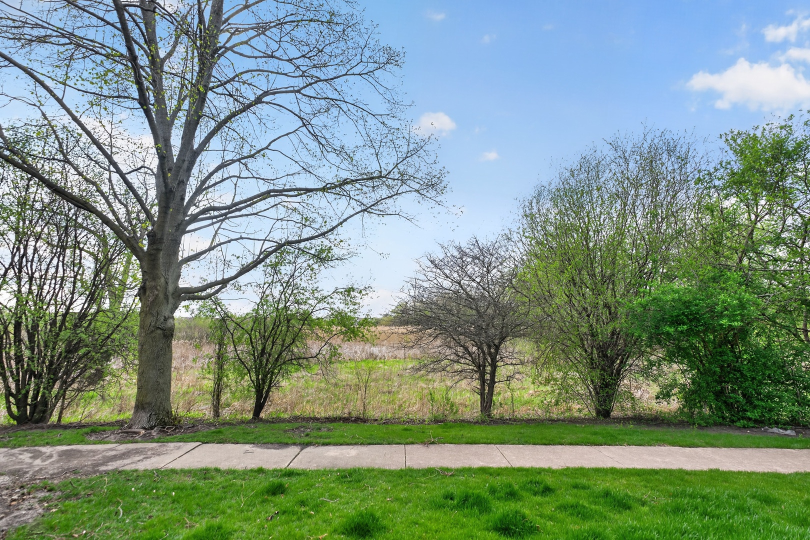 1760 Nature Court Schaumburg IL 60193