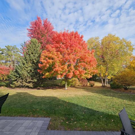 733 Wind Energy Pass Batavia IL 60510