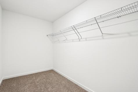 1231 Wildflower Lane Bartlett IL 60103