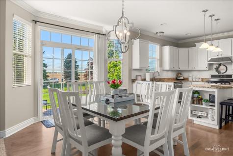 25305 Baytree Circle Shorewood IL 60404