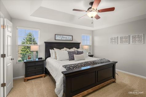 25305 Baytree Circle Shorewood IL 60404