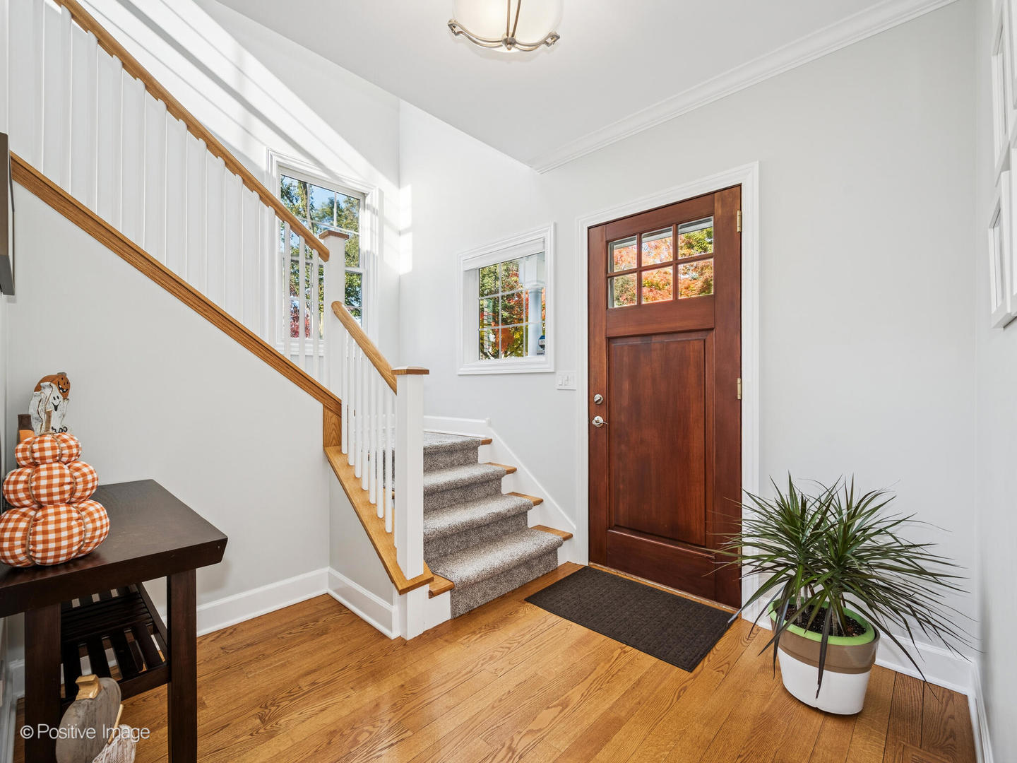 29 Waverly Avenue Clarendon Hills IL 60514