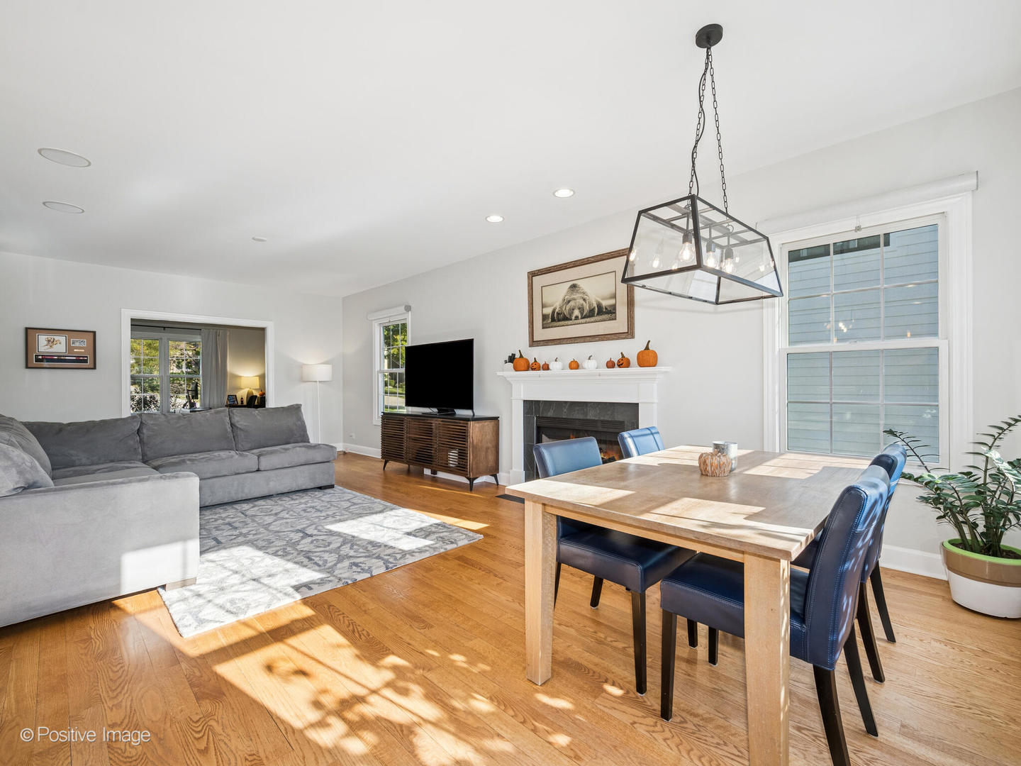 29 Waverly Avenue Clarendon Hills IL 60514