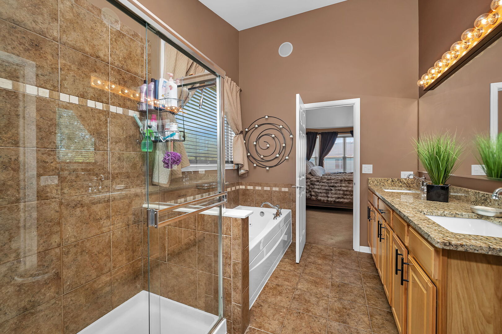 24405 Glenbrook Court Plainfield IL 60585
