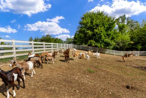 7830 North Pillow Hill Road Spring Grove IL 60081