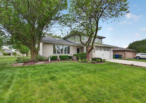 7701 Lakeview Terrace Frankfort IL 60423