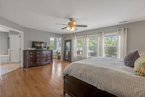 21929 West Tori Lane Deer Park IL 60010