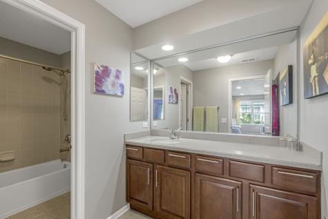 21929 West Tori Lane Deer Park IL 60010