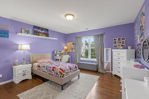 21929 West Tori Lane Deer Park IL 60010