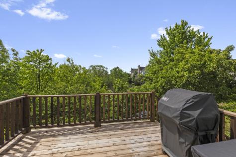 21929 West Tori Lane Deer Park IL 60010