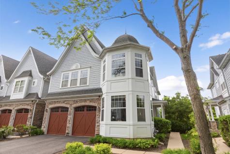 21929 West Tori Lane Deer Park IL 60010