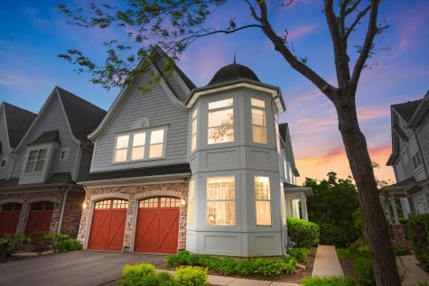 21929 West Tori Lane Deer Park IL 60010