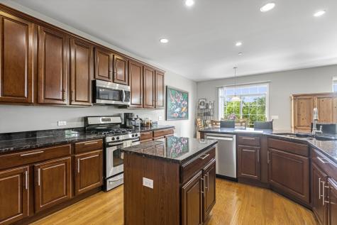 21929 West Tori Lane Deer Park IL 60010