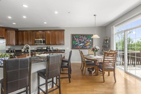 21929 West Tori Lane Deer Park IL 60010