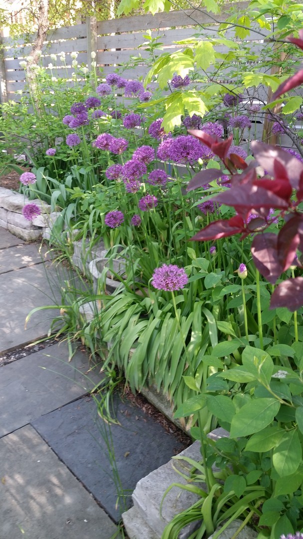 512 North Leavitt Street Chicago IL 60612