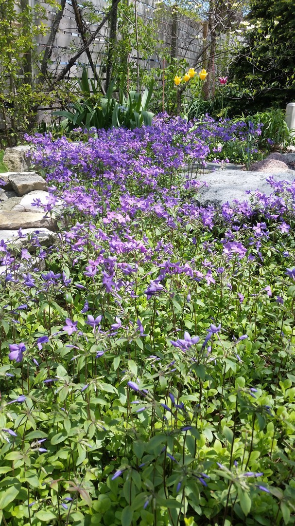 512 North Leavitt Street Chicago IL 60612