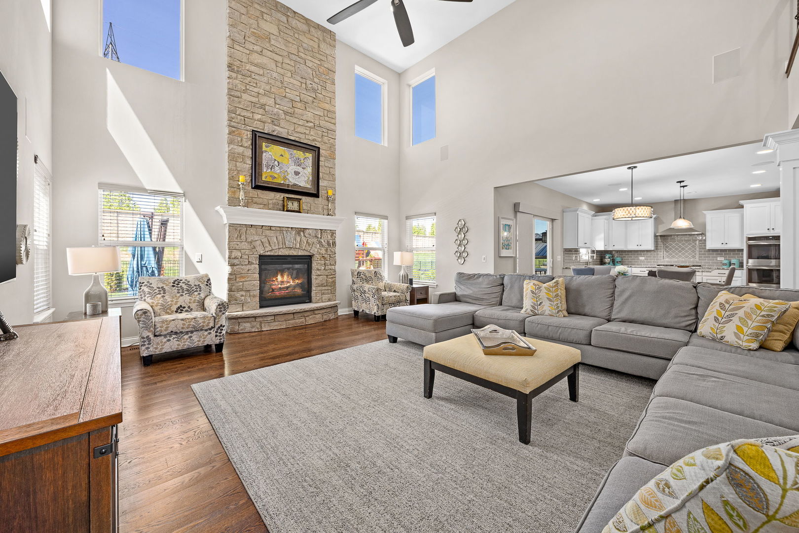 4211 Chinaberry Lane Naperville IL 60564