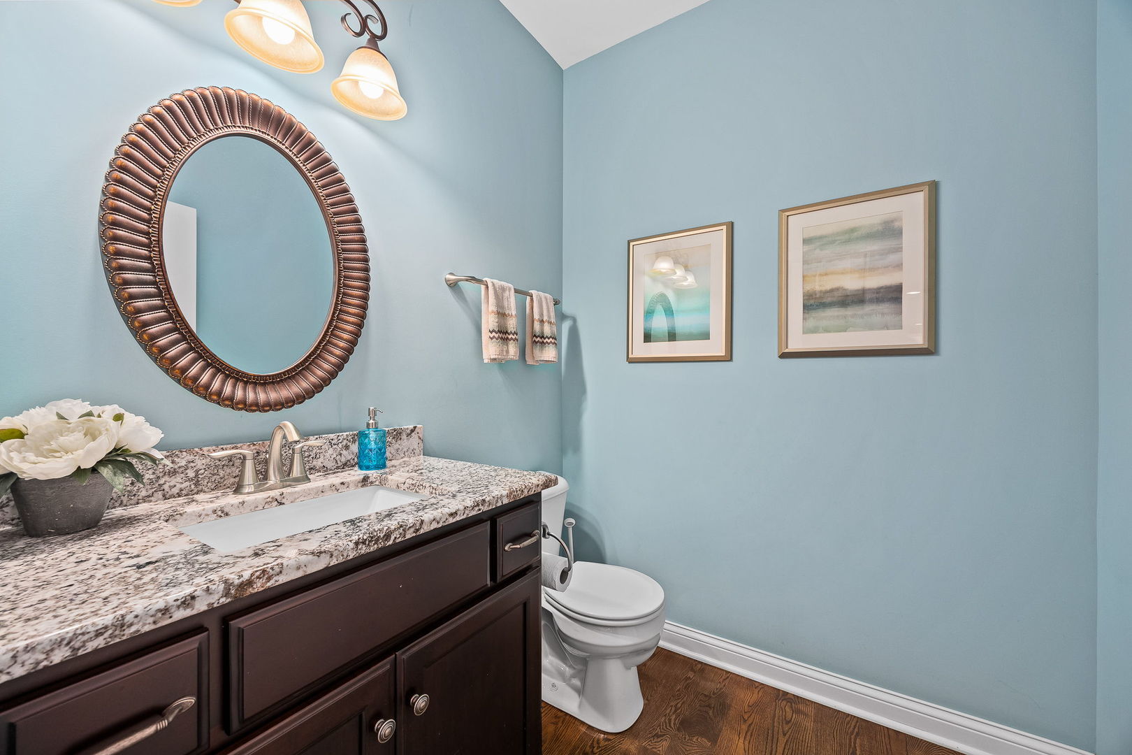 4211 Chinaberry Lane Naperville IL 60564