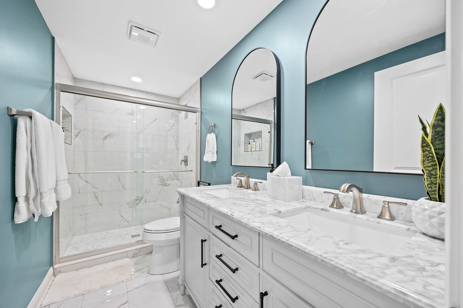 4211 Chinaberry Lane Naperville IL 60564