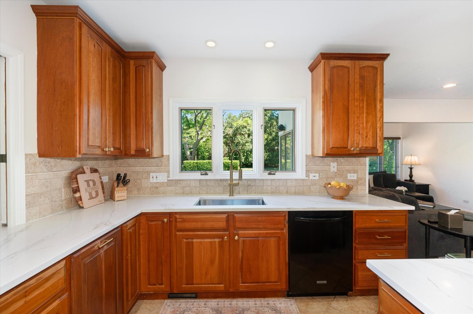 281 West Elm Park Avenue Elmhurst IL 60126