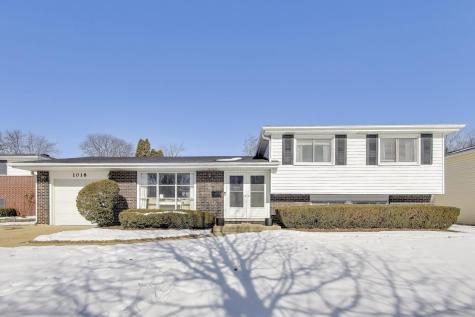 1018 West Alexandria Street Arlington Heights IL 60004