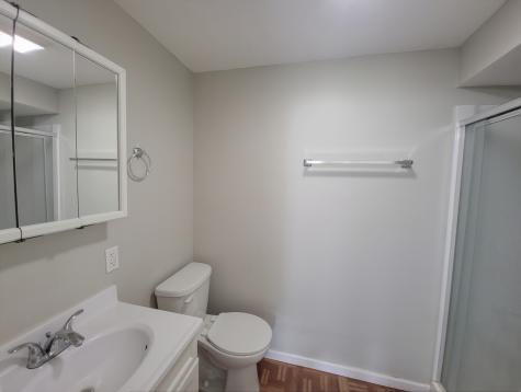 6037 Spring Lane Matteson IL 60443