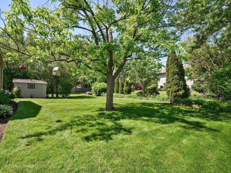 1134 North Pepper Tree Drive Palatine IL 60067