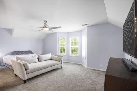 21889 West Talia Lane Deer Park IL 60010